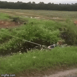 Просто гифки, всякие и&nbsp;разные