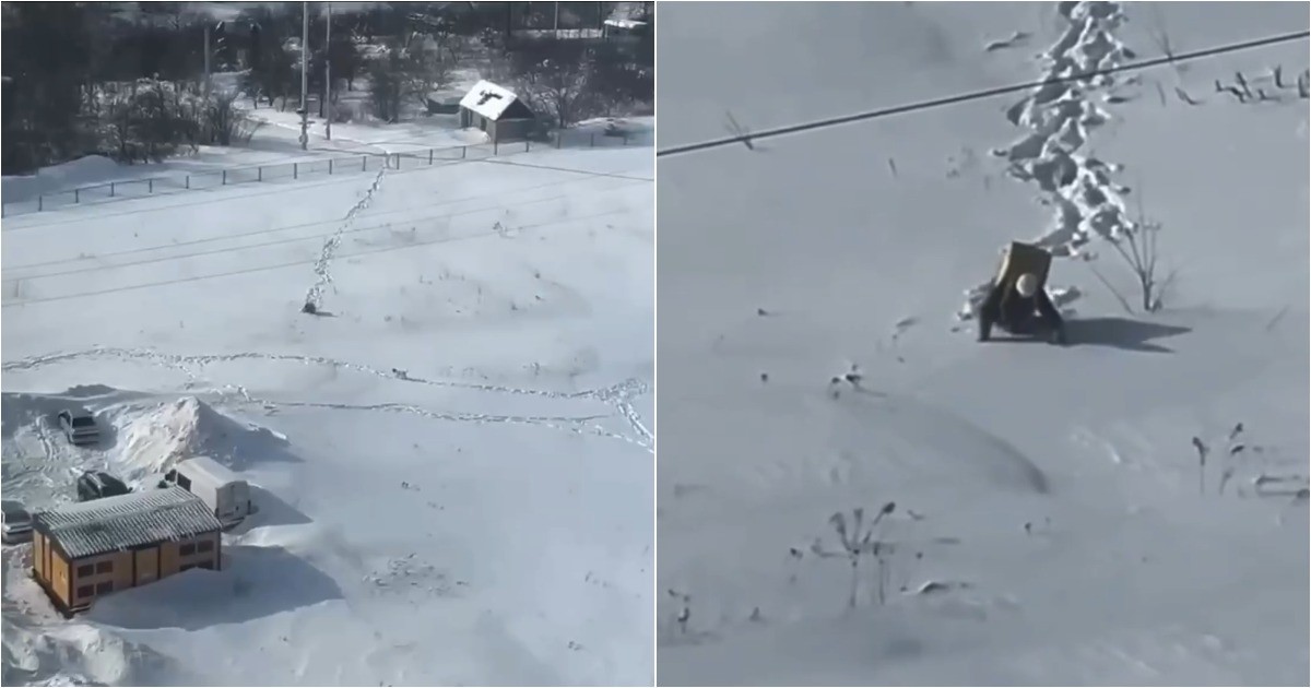 В Рязани курьер пробился через сугробы ради доставки заказа