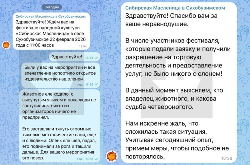 Измученный олень на ярмарке в Красноярском крае