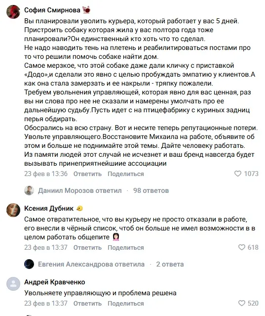 Курьера «Додо Пиццы» уволили после того, как он укрыл пледом бездомную собаку в −20 градусов