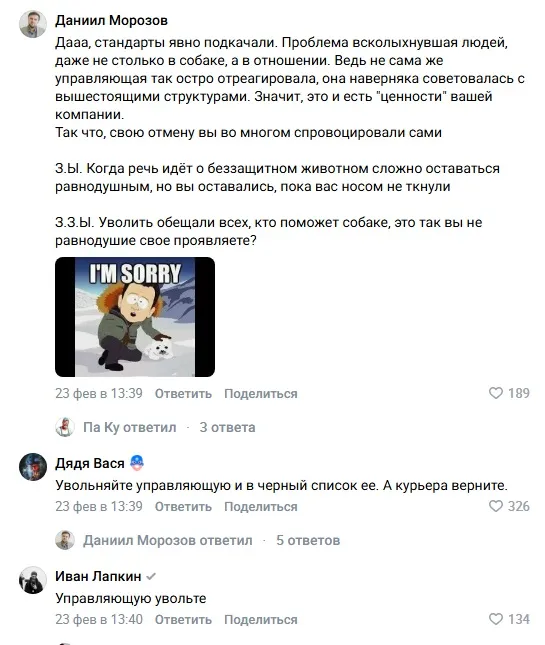 Курьера «Додо Пиццы» уволили после того, как он укрыл пледом бездомную собаку в −20 градусов