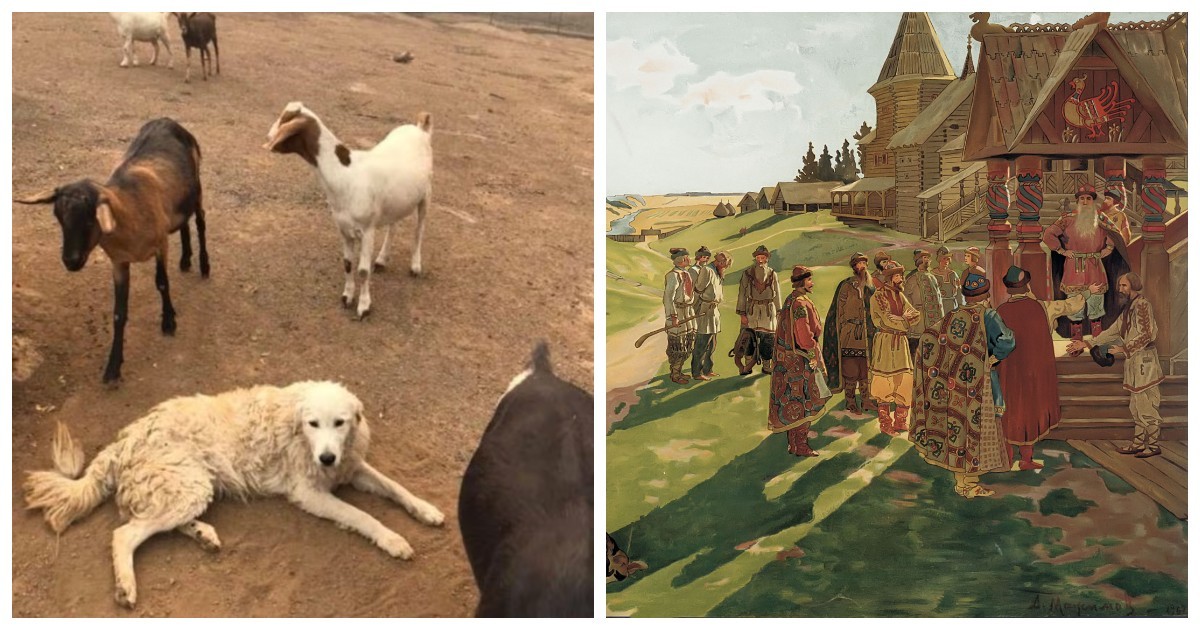 8 исторических фактов, в которые невозможно поверить, но они реальны