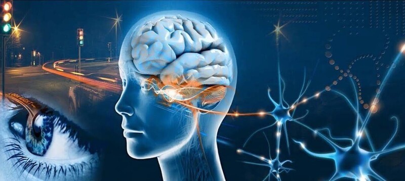 Сенсационная история: 8 фактов, которые перевернут ваше представление о прошлом исторические факты, невероятные факты, живая история, теодор рузвельт, эволюция, кумари, акулы, белый шоколад, пожары в калифорнии, этимология, познавательно, удивительное рядом