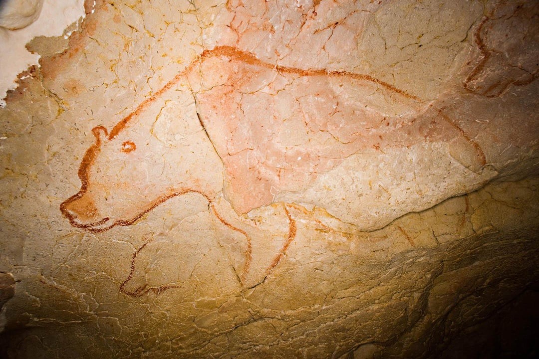 1. Изображение пещерного медведя в пещере Шове во Франции было нарисовано примерно 32 000 лет назад всего 14 линиями