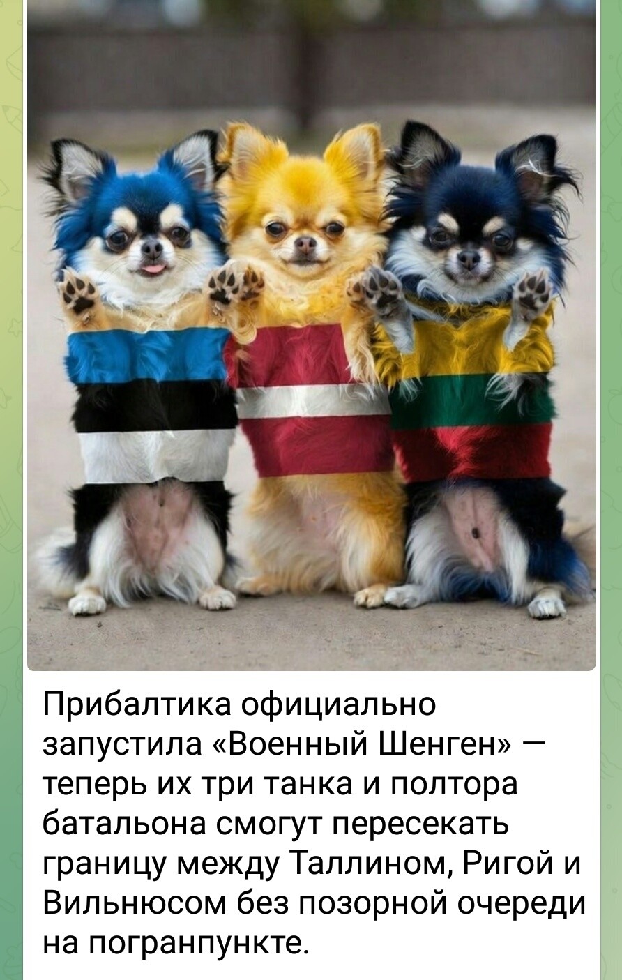 Политика и не только малость