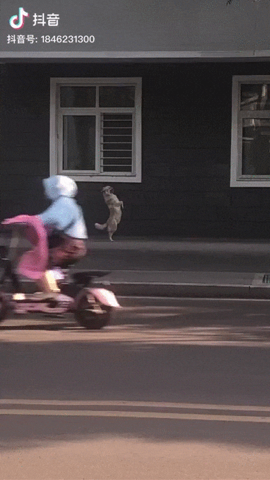 Просто гифки, всякие и&nbsp;разные