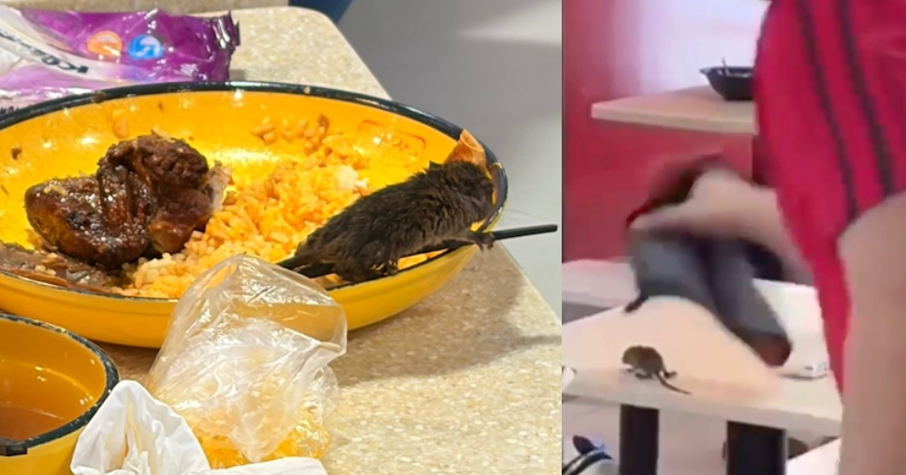 Крыса упала с потолка в тарелку к посетительнице кафе
