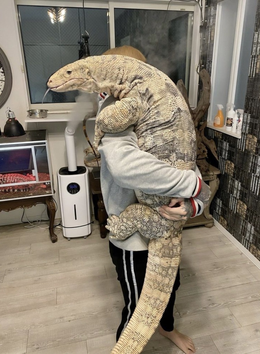 Домашний питомец, который может выселить всех остальных жильцов, при желании