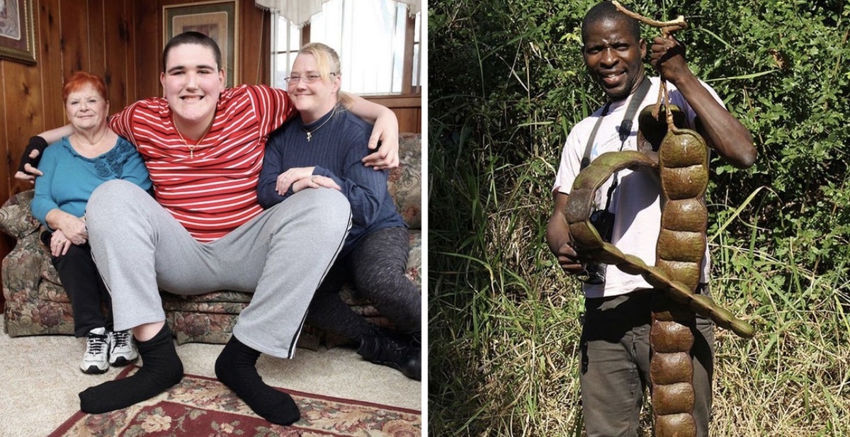 Реальные предметы и живых существ, впечатляющих своими огромными размерами