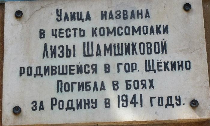 Люди из стали. Елизавета Шамшикова