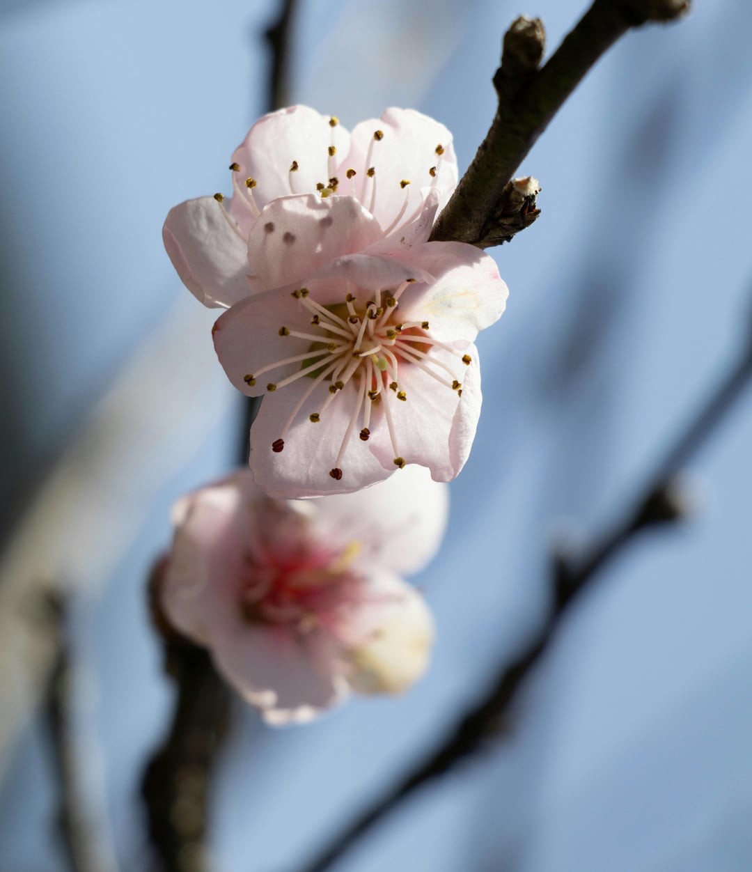 11. Великая сила весны