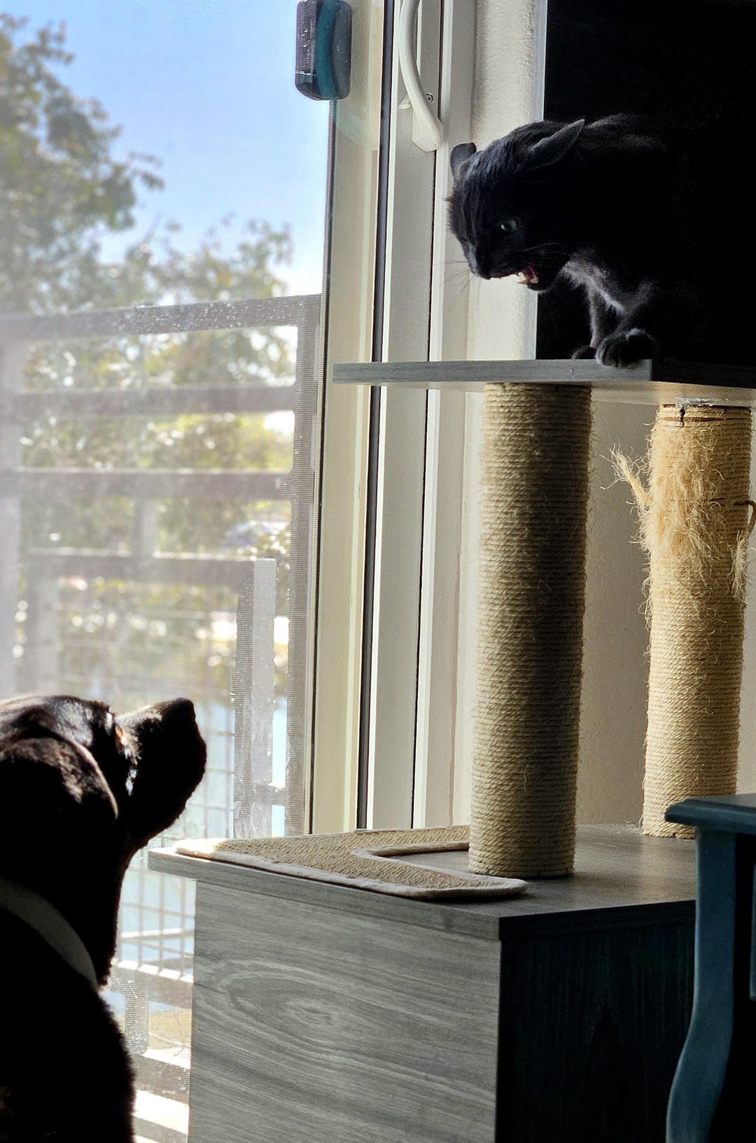 22. Ты не пройдёшь!