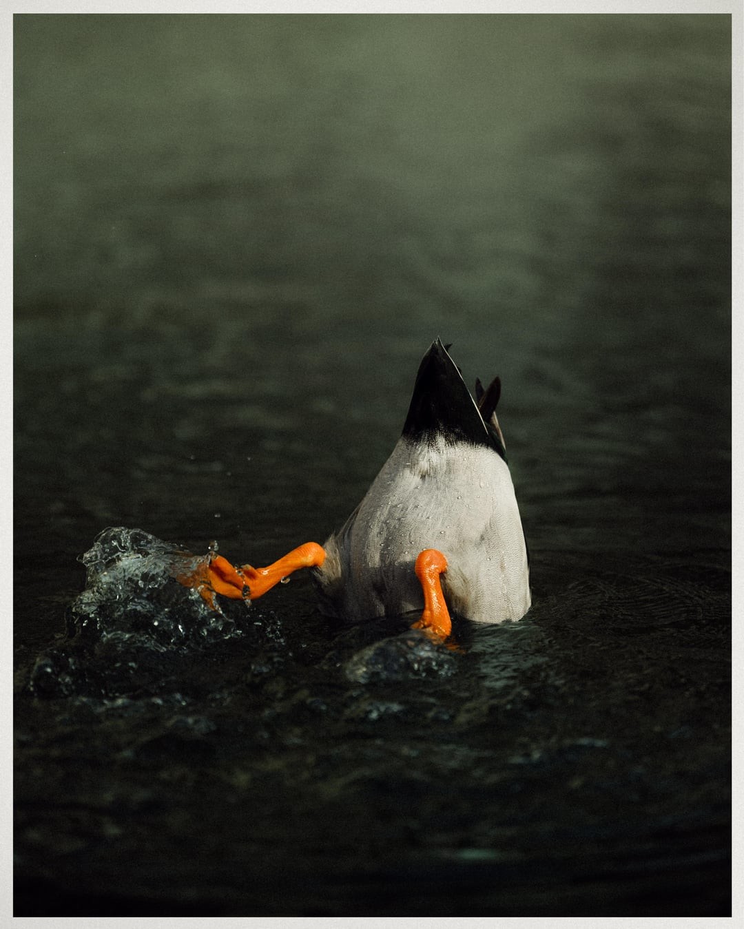 9. Нырок и кувырок