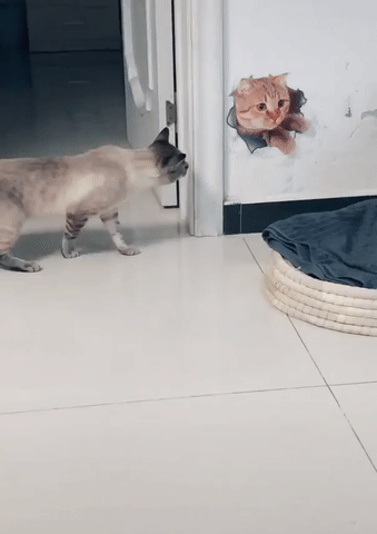 Просто гифки, всякие и&nbsp;разные