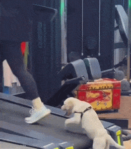 Просто гифки, всякие и&nbsp;разные