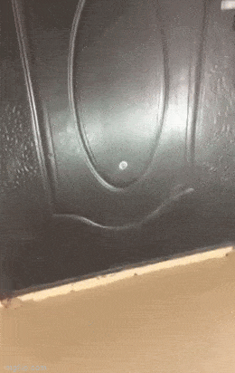 Просто гифки, всякие и&nbsp;разные