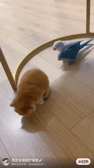 Просто гифки, всякие и&nbsp;разные