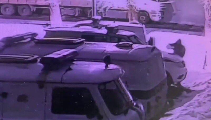 Cтудент из Воронежа поджёг полицейский автомобиль в Оренбурге