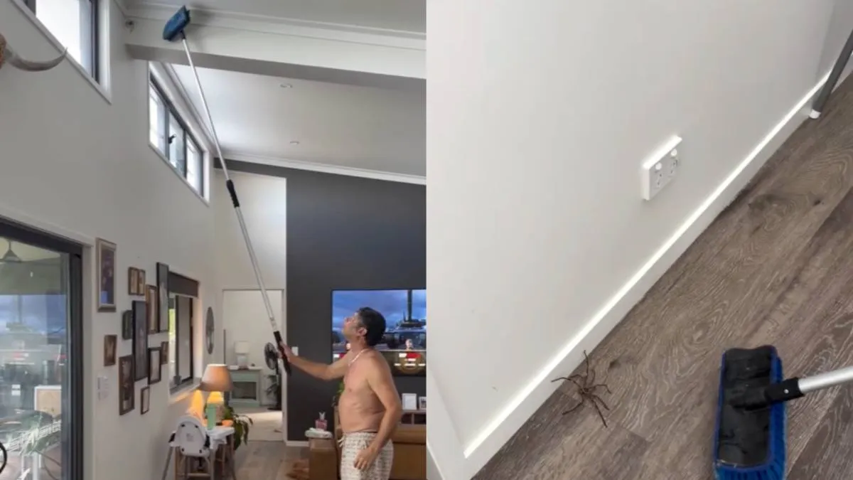 Мужчина гоняется за гигантским пауком, а жена не может перестать смеяться