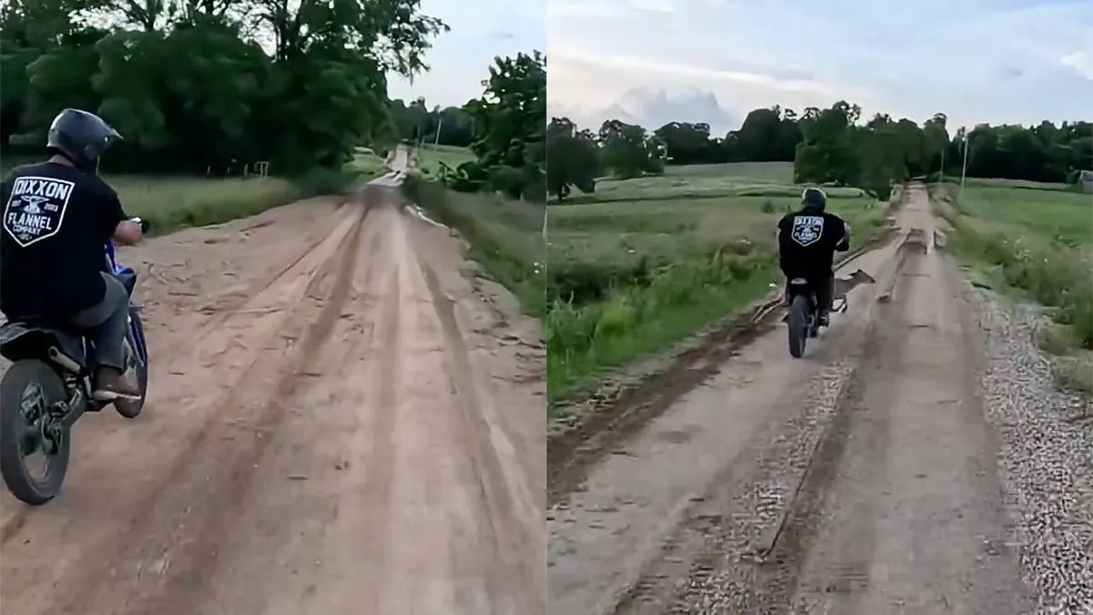 Мотоциклист столкнулся с оленем — и проиграл