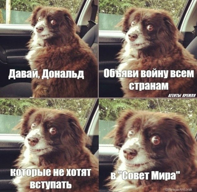 Трамп грозит санкциями кто не вступит в его идиотский "совет мира", а далее неизвестно, что взбредет в тыкву этого ржавого существа! 