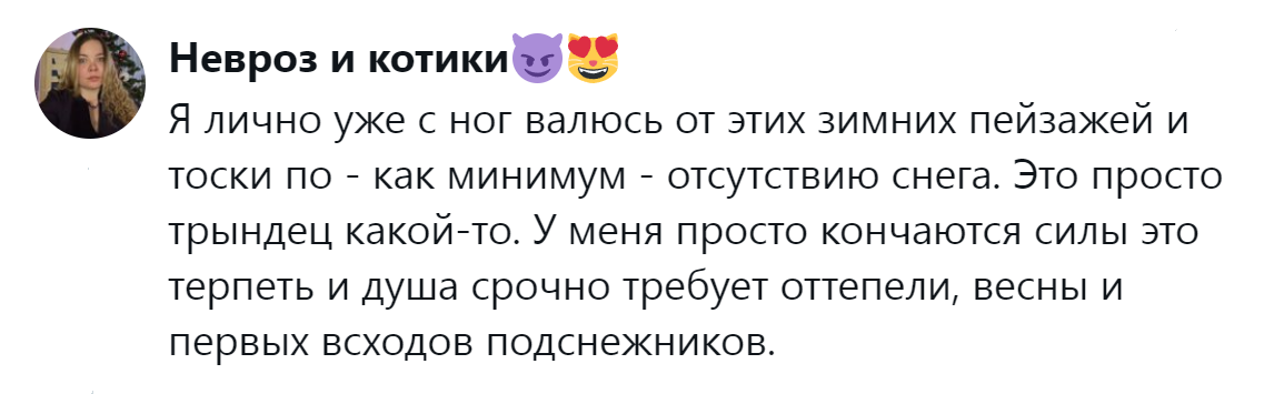 2. Тоскливые зимние пейзажи без снега вгоняют в ещё большую тоску