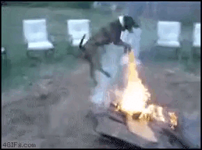 Просто гифки, всякие и&nbsp;разные