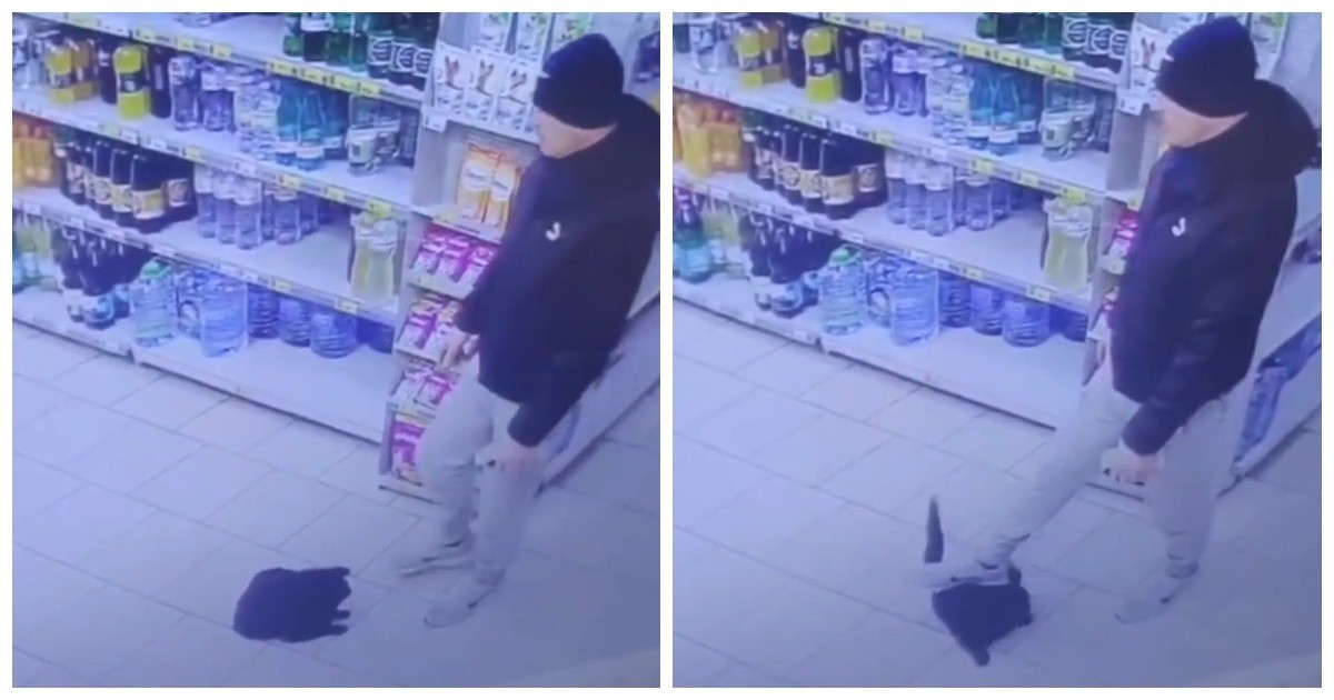 Мужчина наступил на кота в магазине