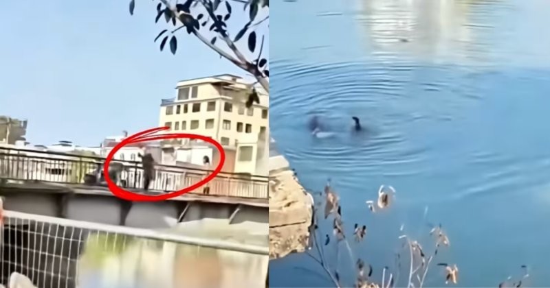 Мужчина бросил маленького сына в реку с моста во время семейного скандала