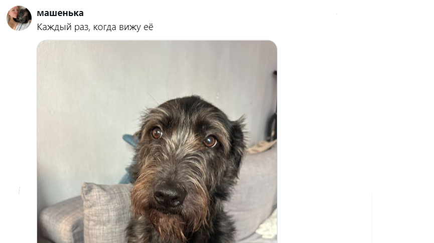 3. Что может быть чудеснее?