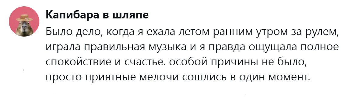 16. Утро, дорога и музыка сошлись в моменте