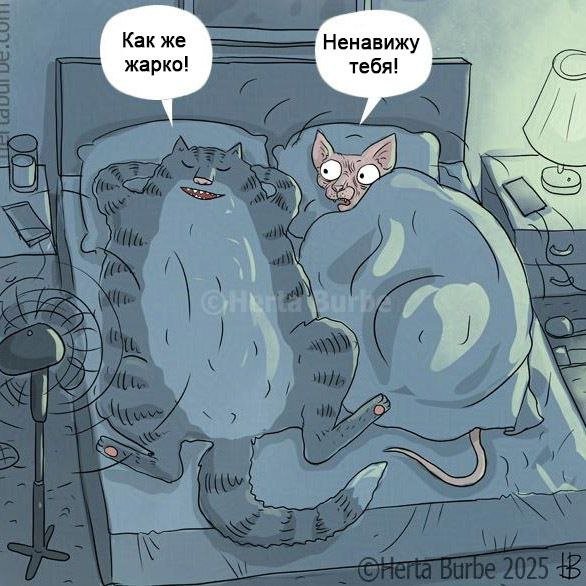 Скрины из соцсетей