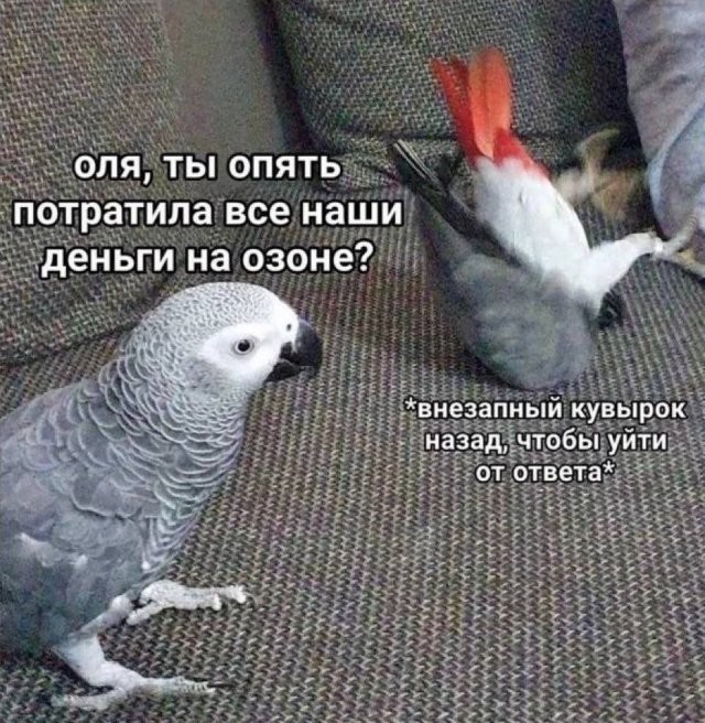 Скрины из соцсетей