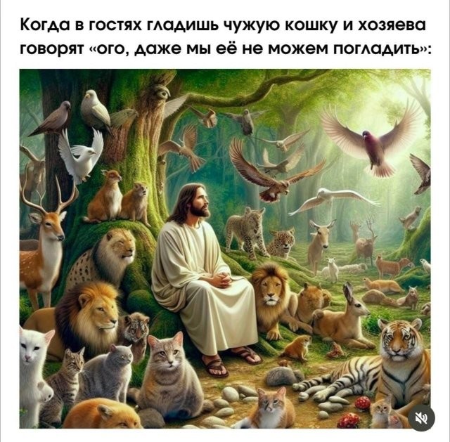 Скрины из соцсетей