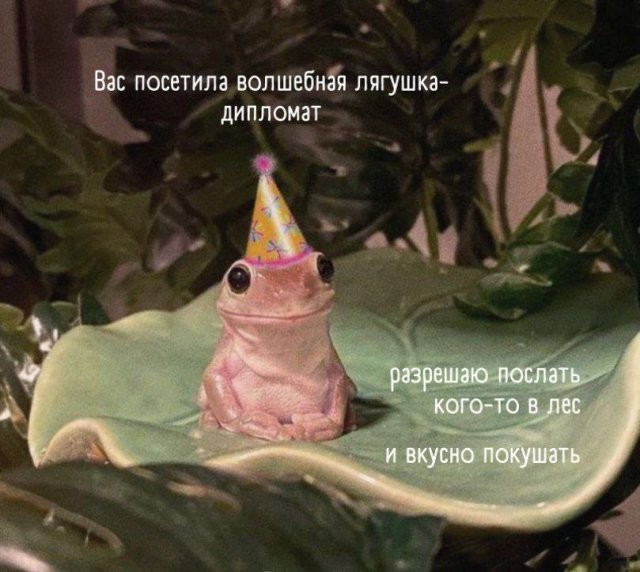 Скрины из соцсетей