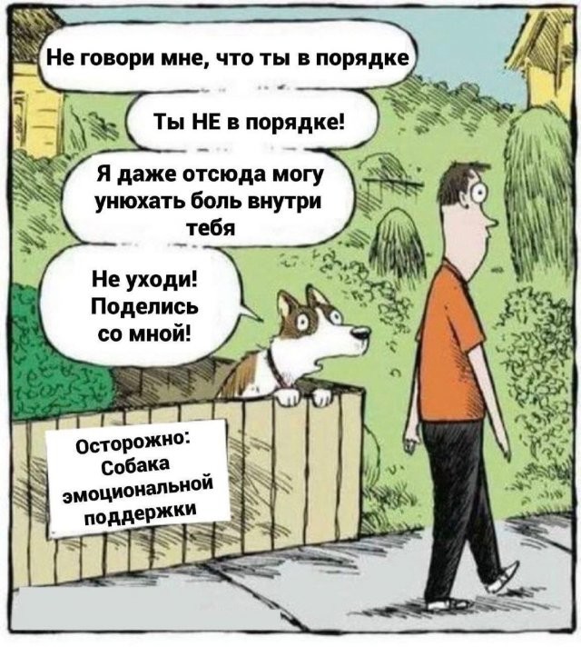 Скрины из соцсетей