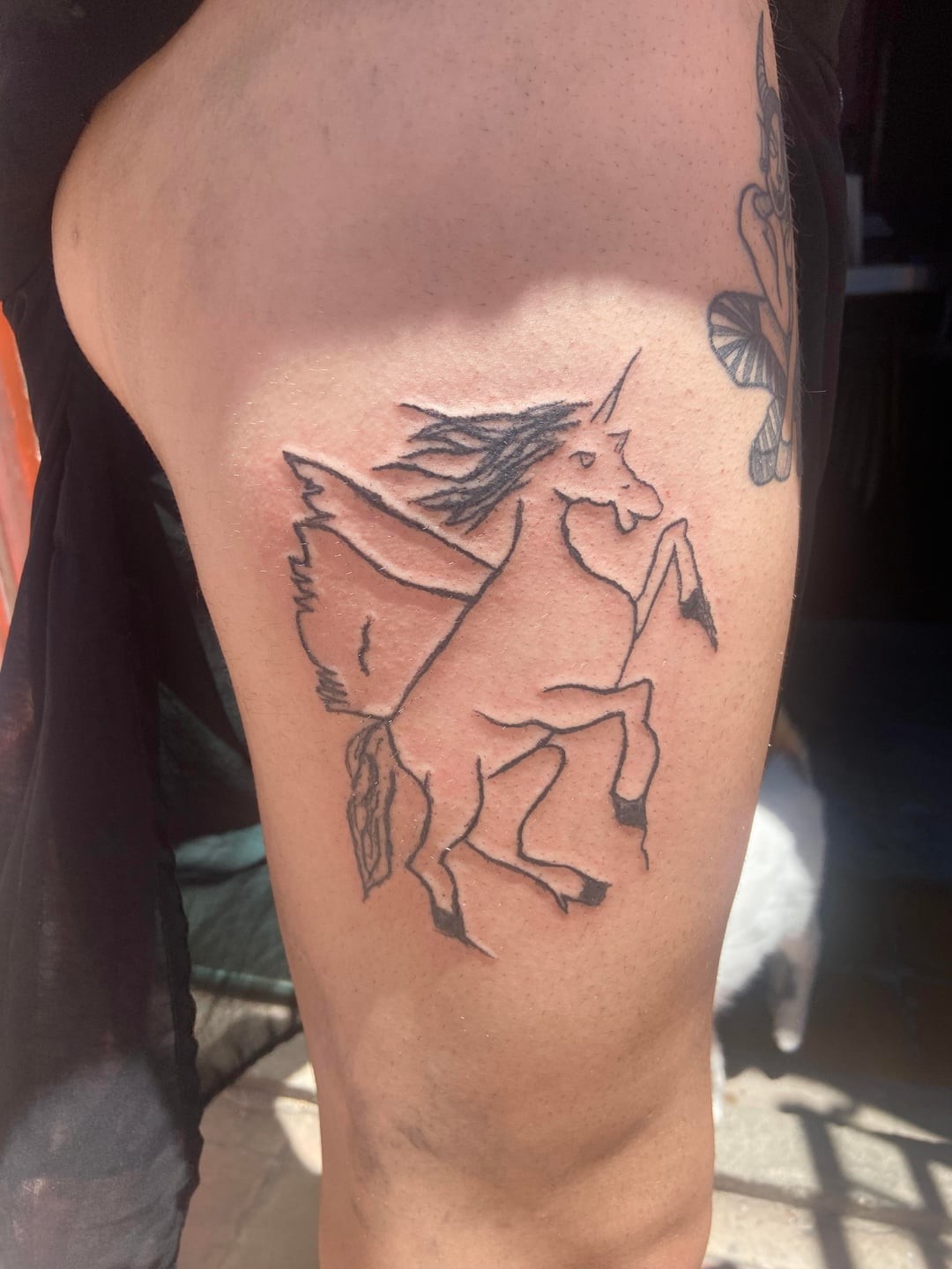 13. Какие желания, такие и единороги