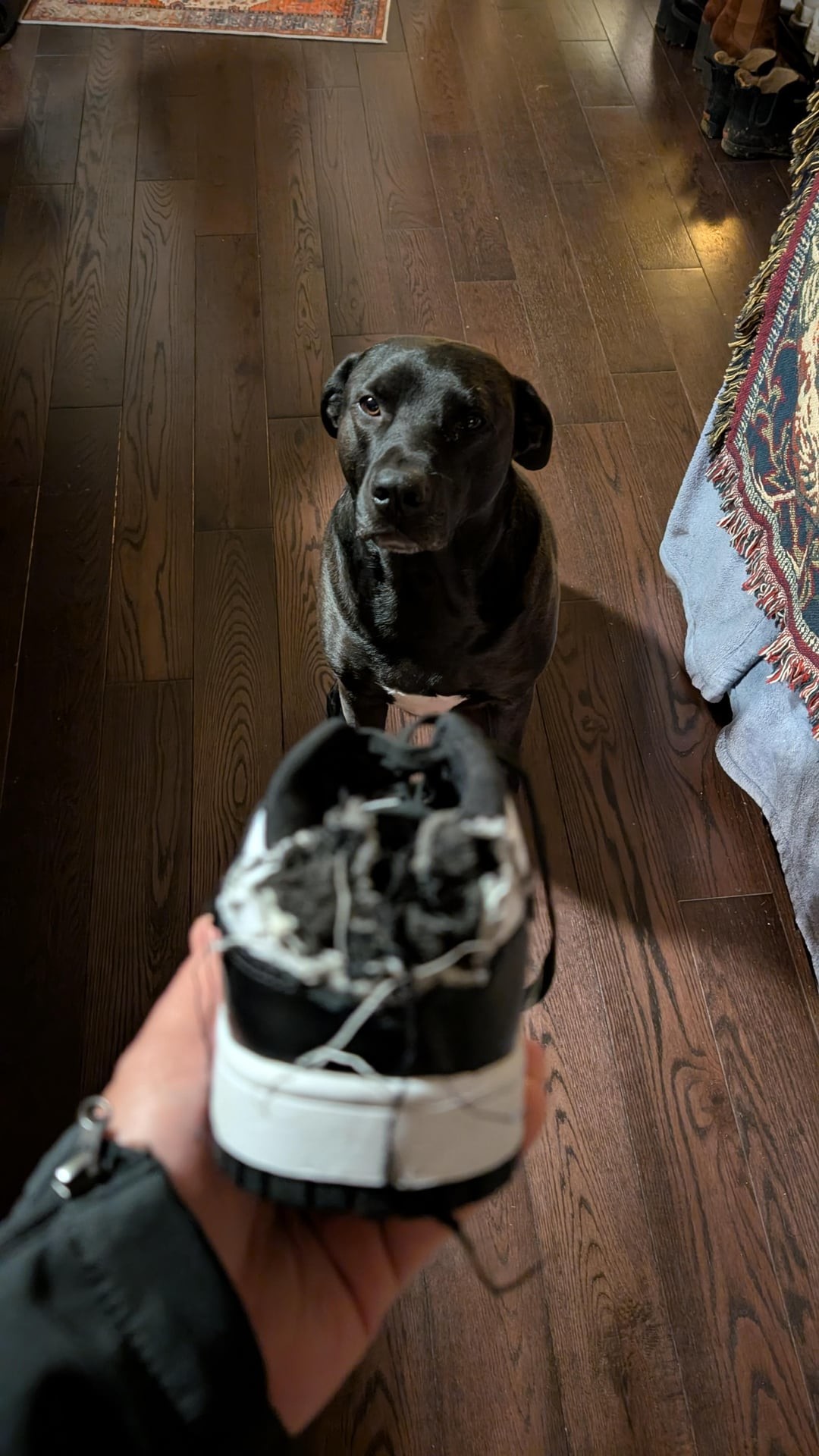 30. Ура, мы едем в магазин!