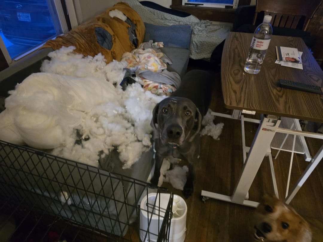 14. Здорово получилось, правда?