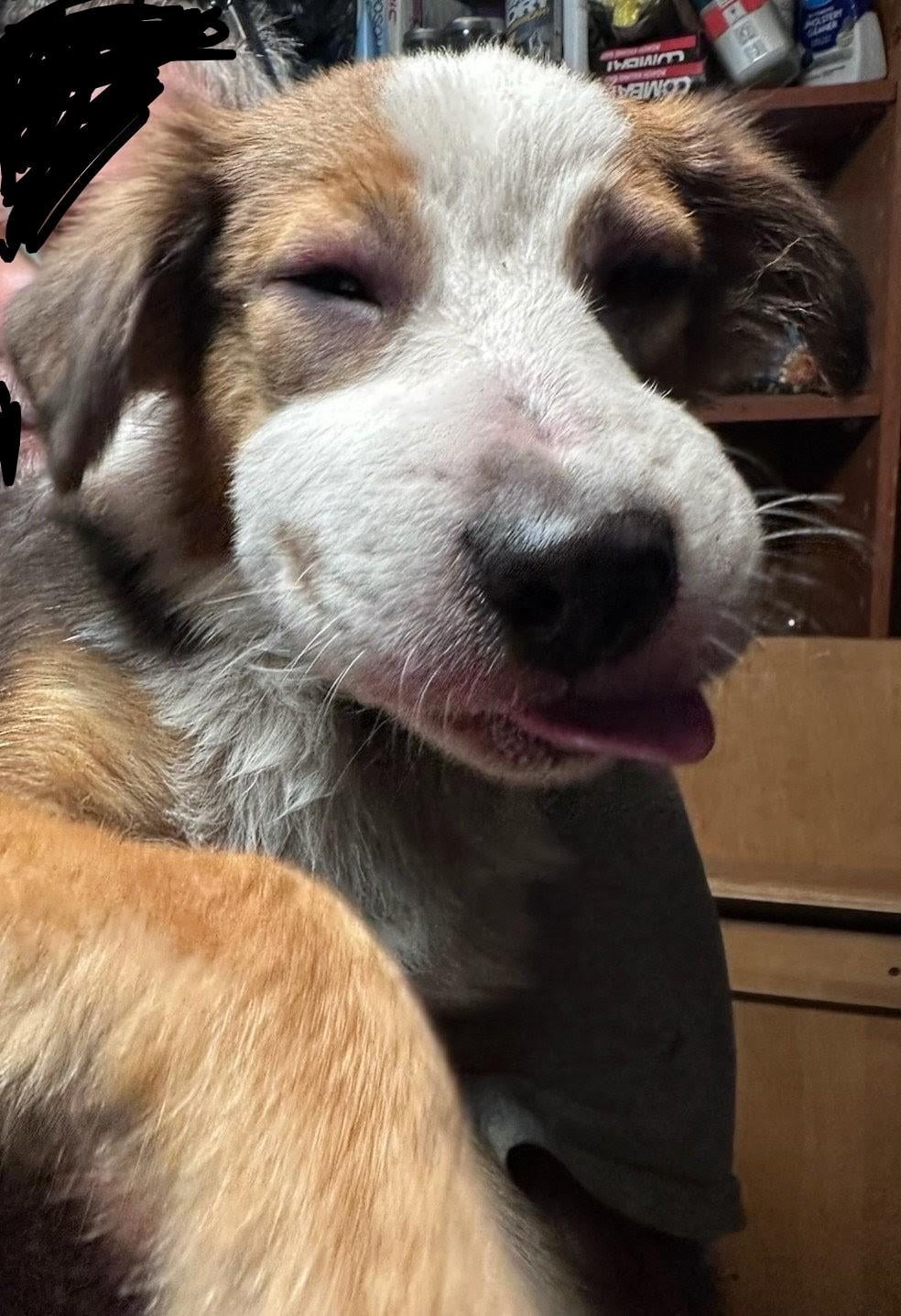 21. Нет, я не ходил на пасеку. А почему ты интересуешься?