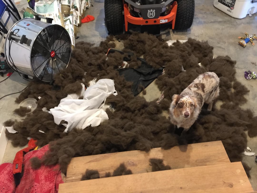 8. Послушание - моё второе имя