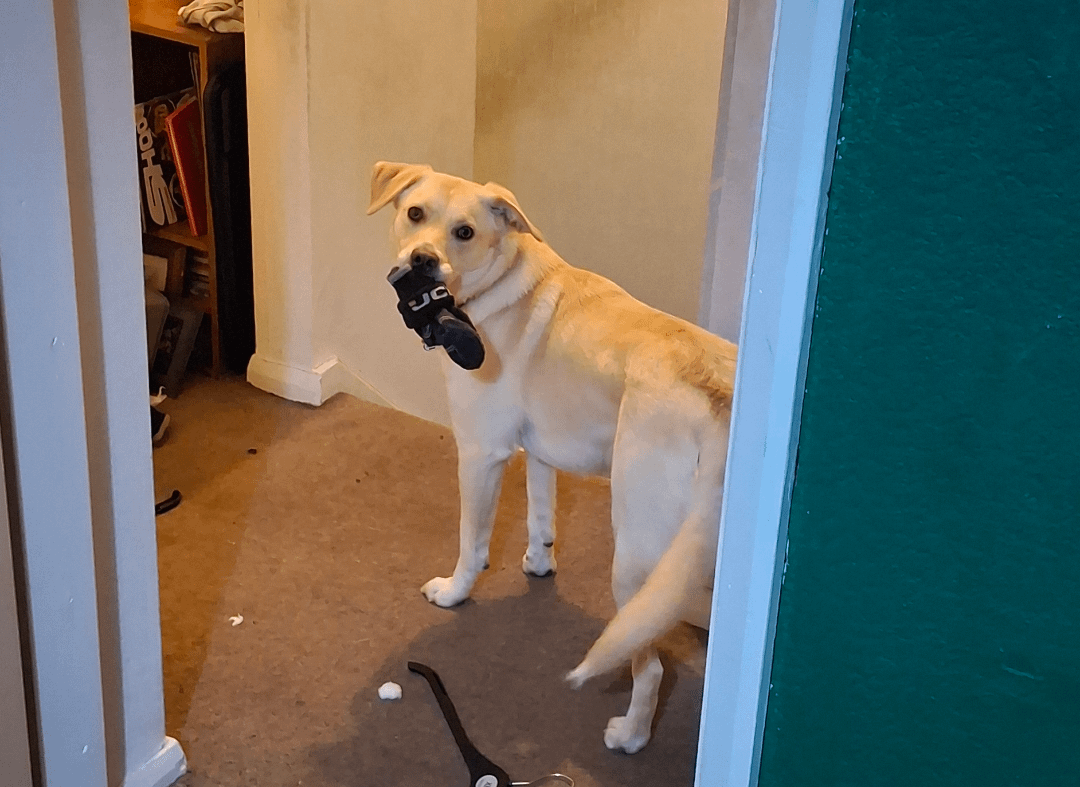 28. Куда уходят носки?