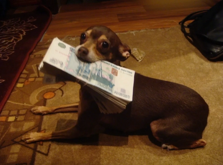 3. Делай деньги