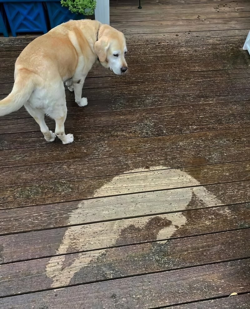 5. Зачем бежать от дождя, если он всё равно когда-нибудь закончится?