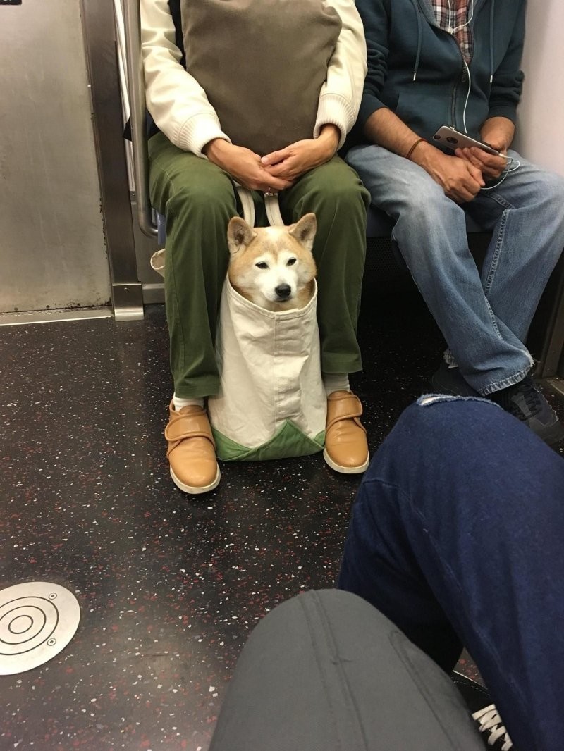 18. Упакован, но не сломлен