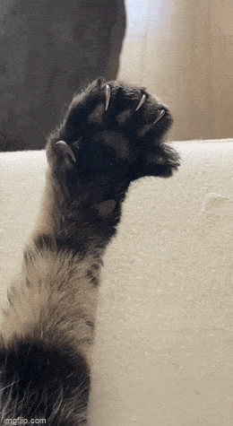 Просто гифки, всякие и&nbsp;разные