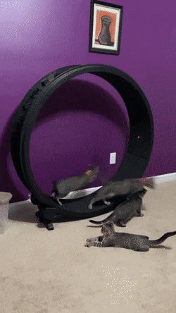 Просто гифки, всякие и&nbsp;разные