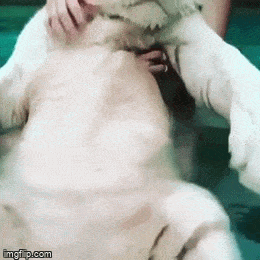 Просто гифки, всякие и&nbsp;разные