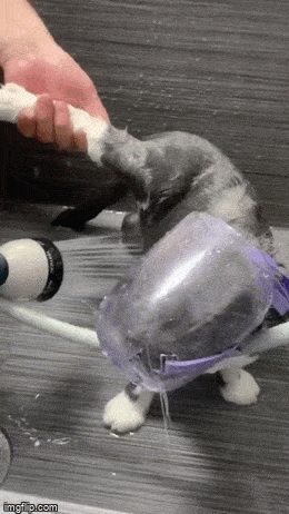 Просто гифки, всякие и&nbsp;разные