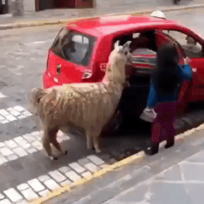 Просто гифки, всякие и&nbsp;разные